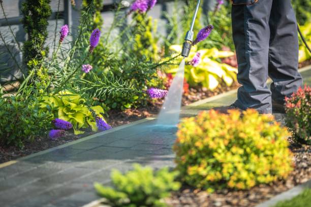 Best Dumpster Area Cleaning  in Romoland, CA