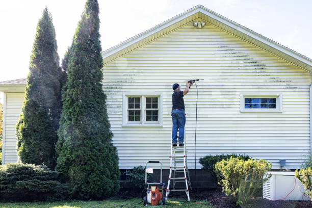 Best Roof Washing  in Romoland, CA